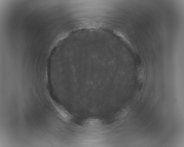 X0000063440685200602101623
