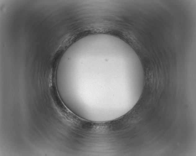 X0000063440694200602101623