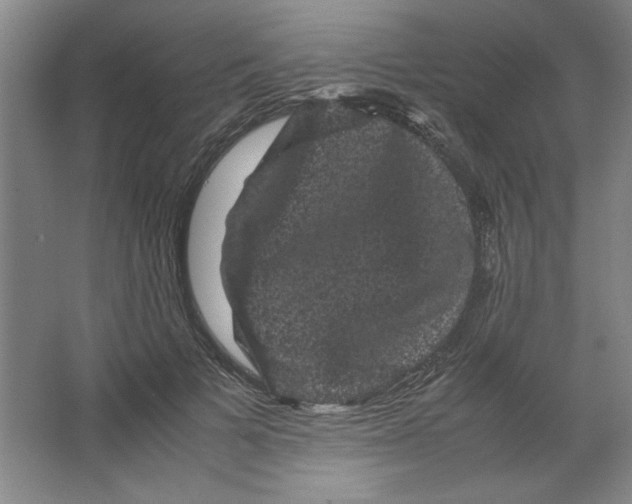 X0000063440697200602101622