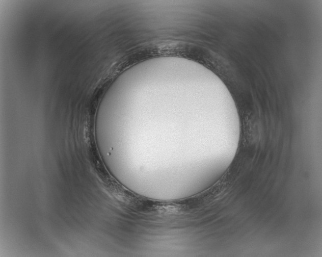 X0000063440698200602101622