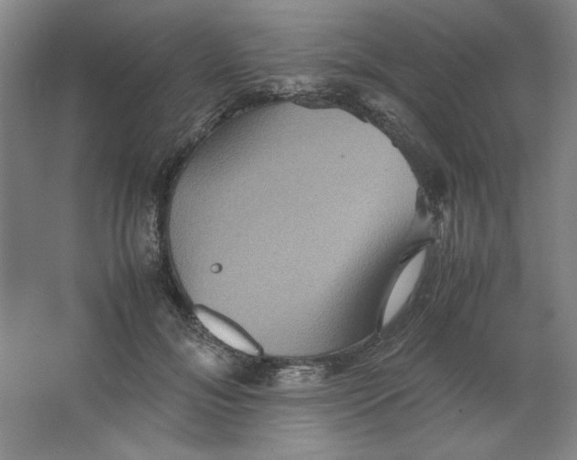 X0000063440700200602101622