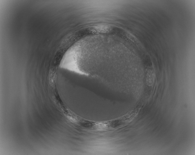 X0000063440701200602101622