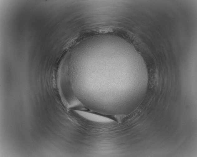 X0000063440704200602101622