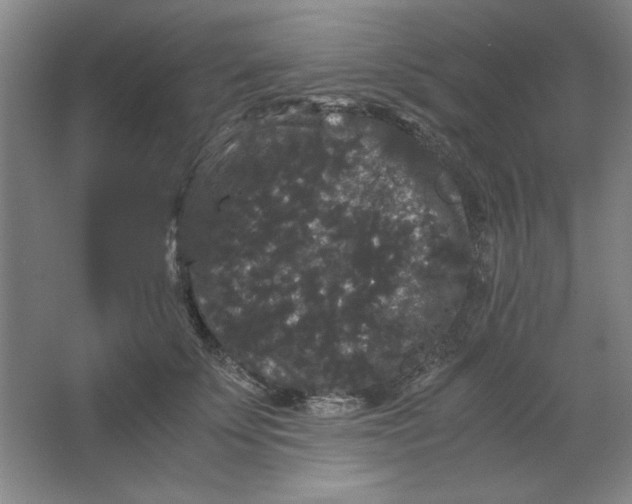 X0000063440707200602101622