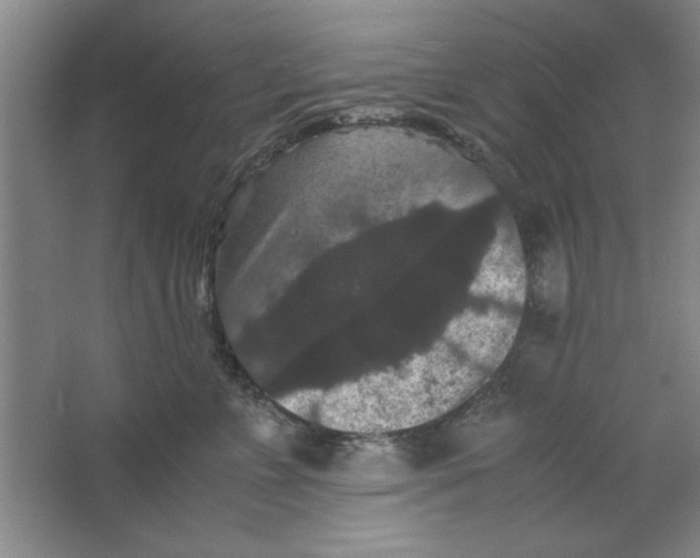 X0000063440715200602101622