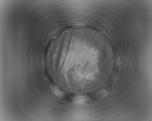 X0000063440716200602101622