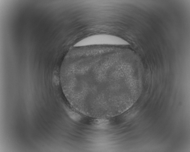 X0000063440719200602101622