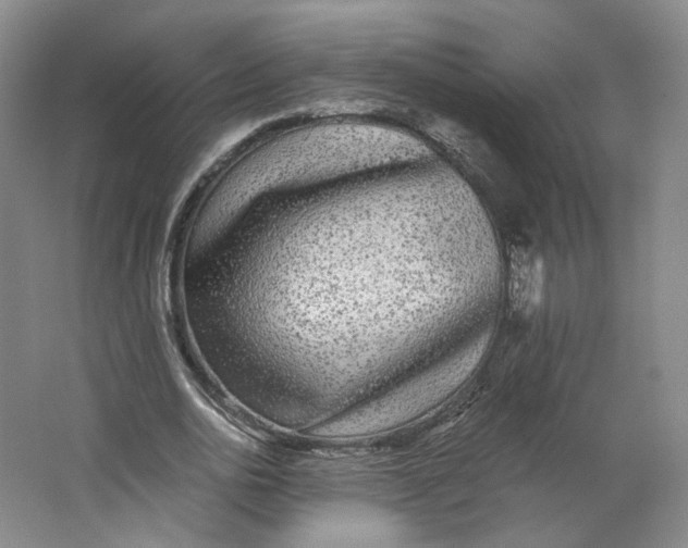 X0000063440726200602101621