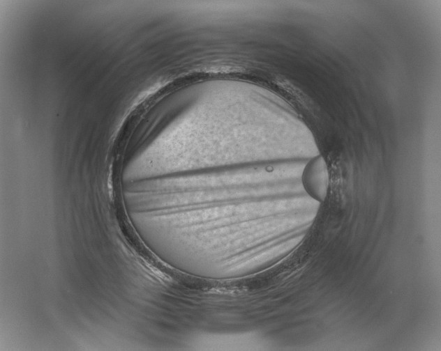 X0000063440727200602101621