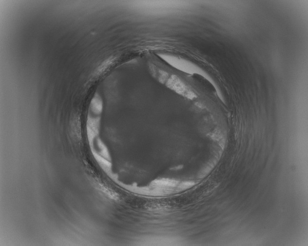 X0000063440729200602101621