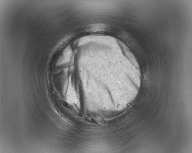 X0000063440732200602101621
