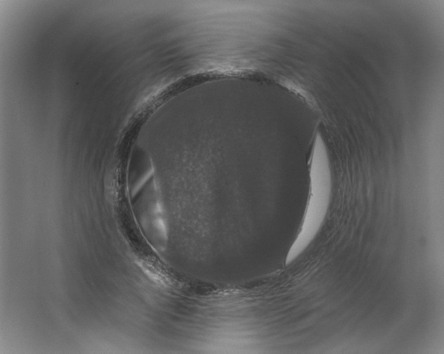 X0000063440736200602101622