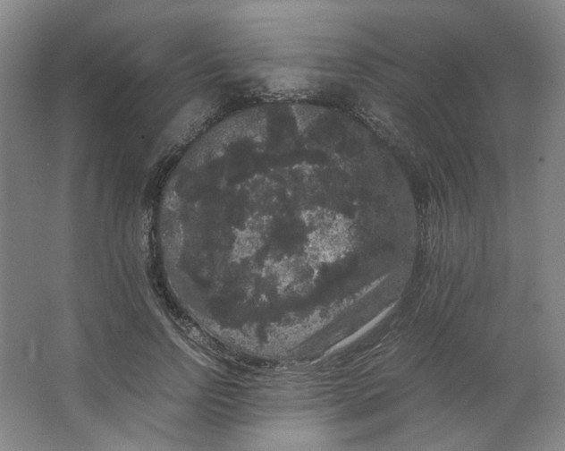 X0000063440742200602101622