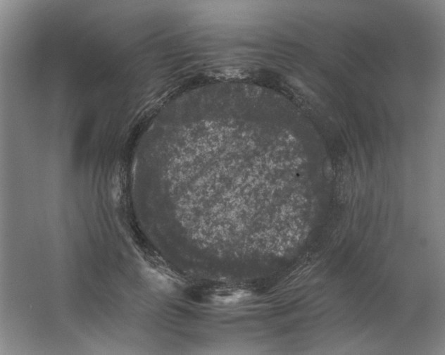 X0000063440747200602101622