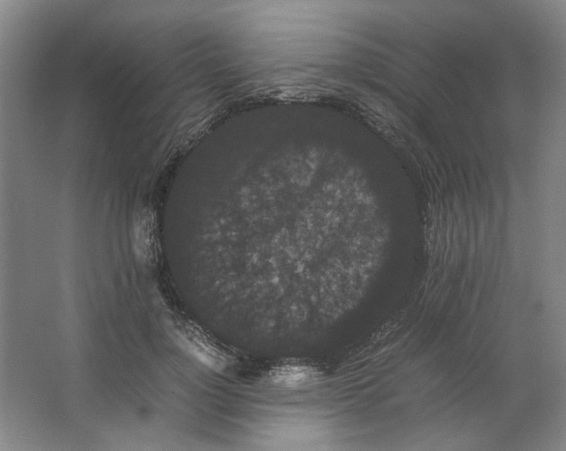 X0000063440748200602101622