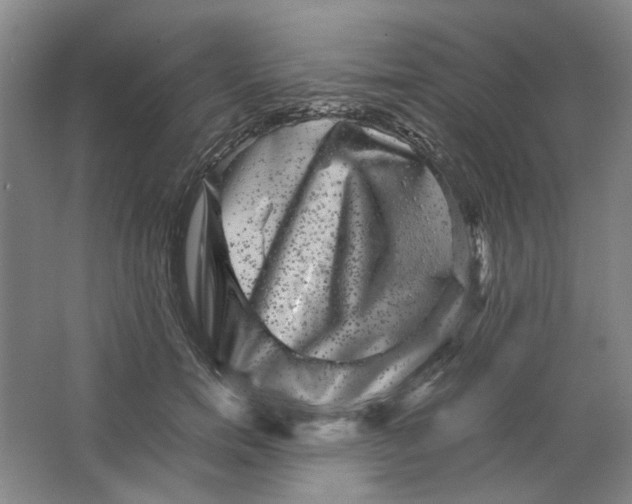 X0000063440750200602101622