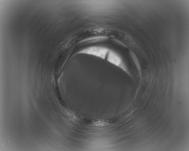 X0000063440754200602101622