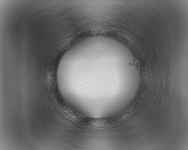 X0000063440756200602101622