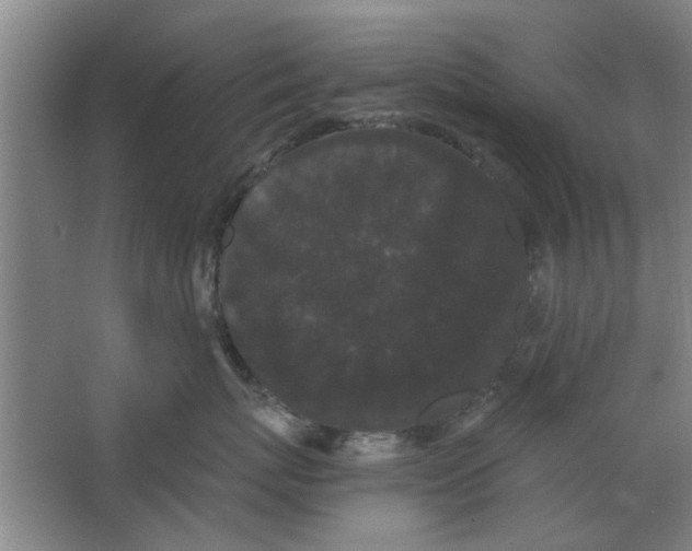 X0000063440767200602101622