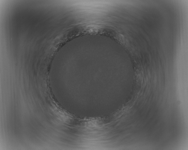 X0000063440769200602101621