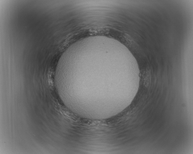 X0000063440770200602101621