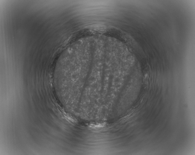 X0000063440772200602101621