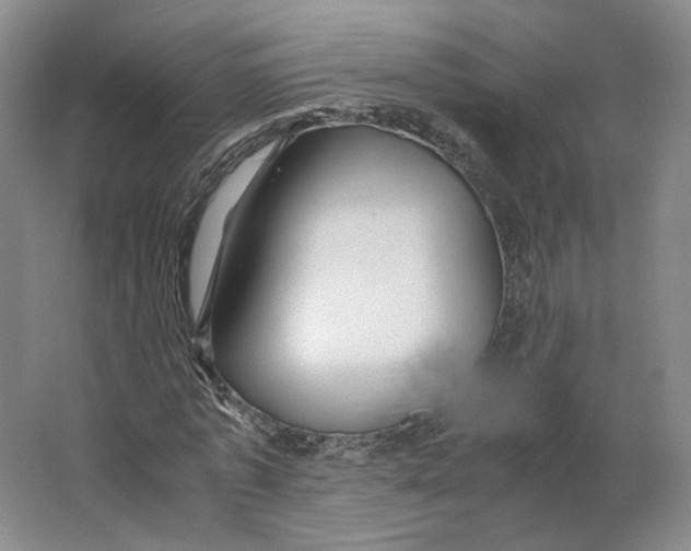 X0000063440773200602101621