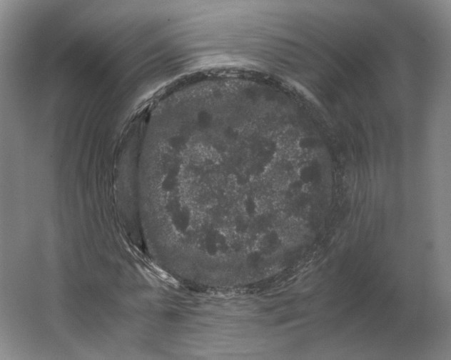X0000063440775200602101621
