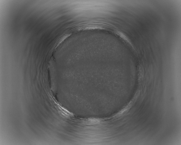 X0000063440777200602101621