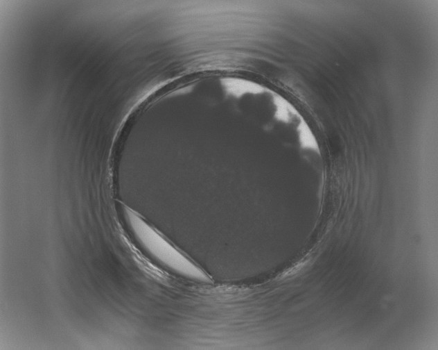X0000063440779200602101621
