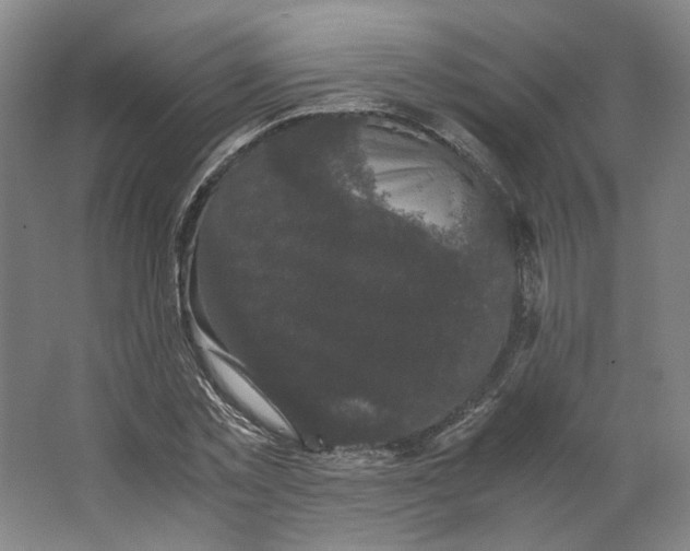 X0000063440781200602101621