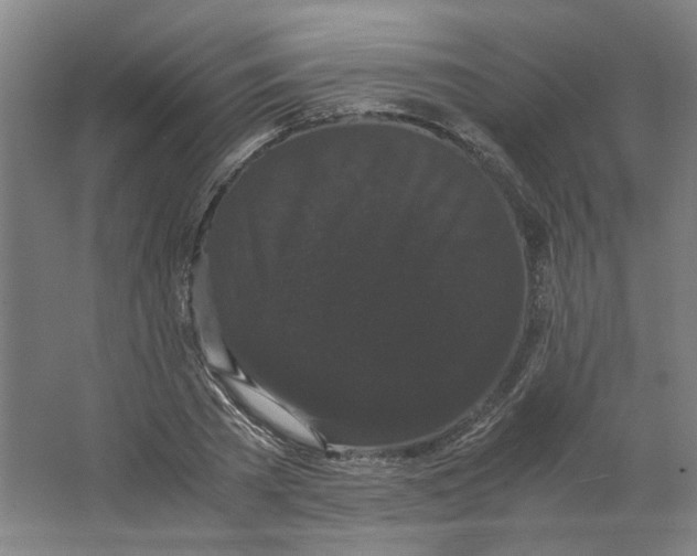 X0000063440785200602101621