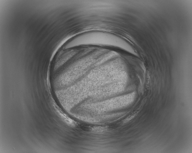 X0000063440788200602101621