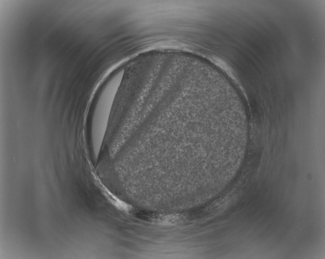 X0000063440791200602101621