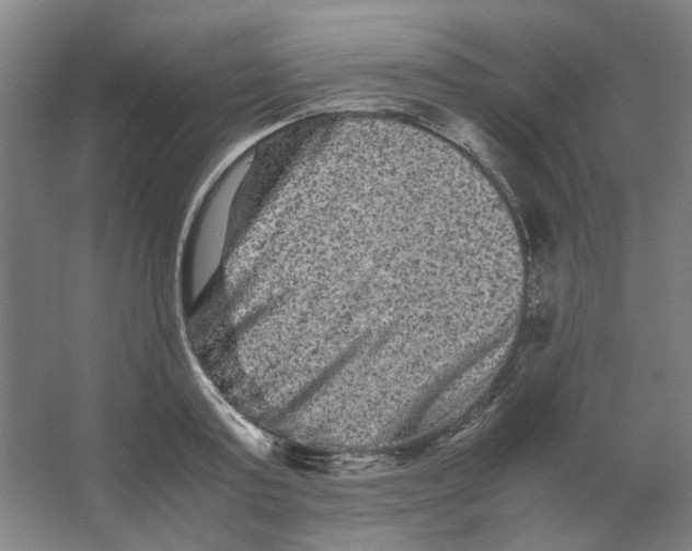 X0000063440795200602101621