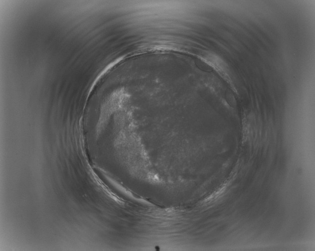 X0000063440798200602101621