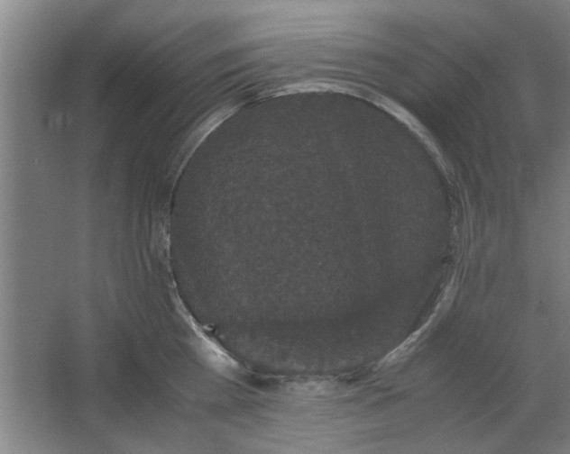 X0000063440809200602101621