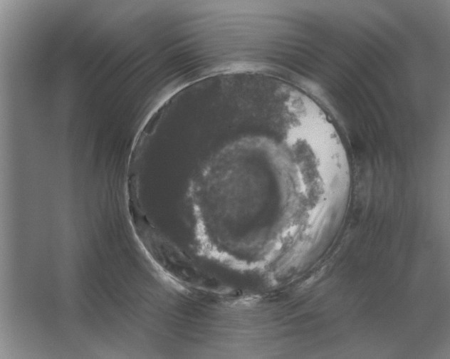 X0000063440810200602101621