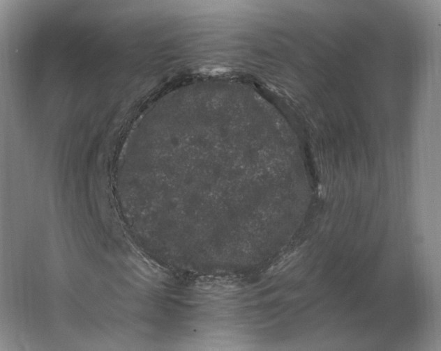 X0000063440817200602101620