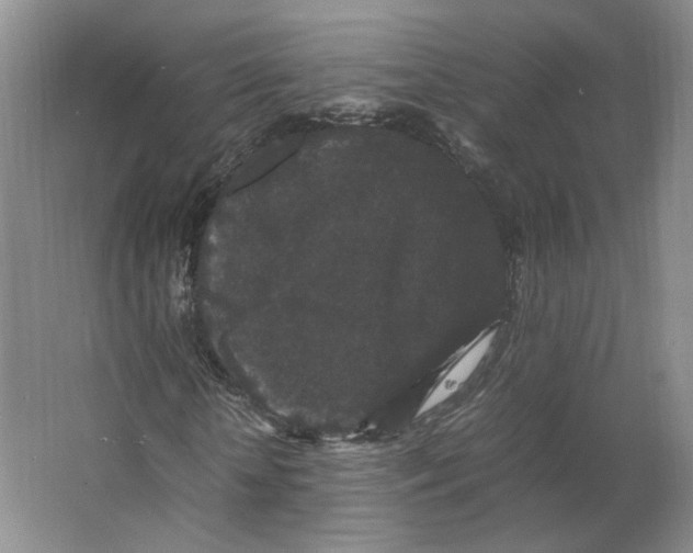 X0000063440818200602101620