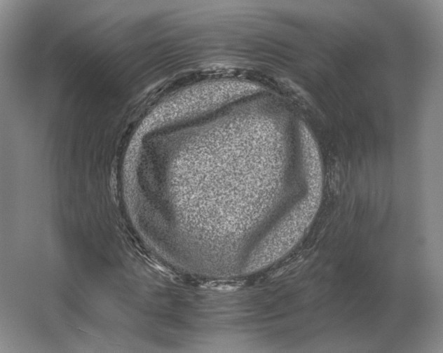 X0000063440821200602101620
