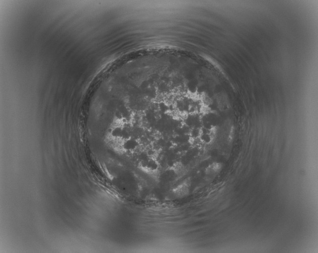 X0000063440823200602101620