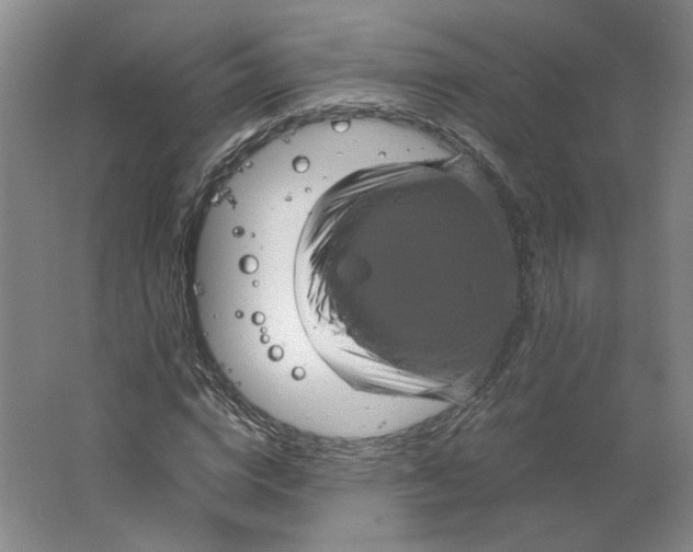 X0000063440824200602101620