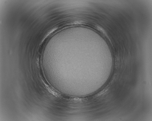 X0000063440827200602101620