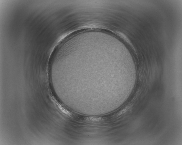 X0000063440831200602101620