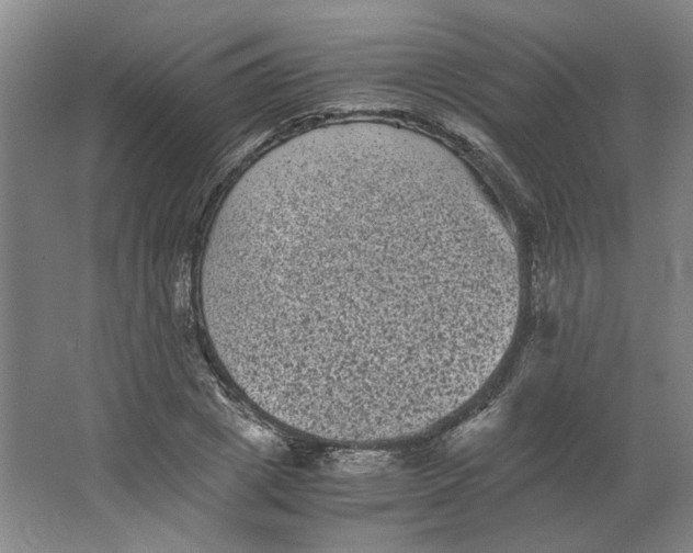 X0000063440833200602101620