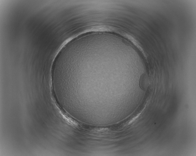 X0000063440837200602101620