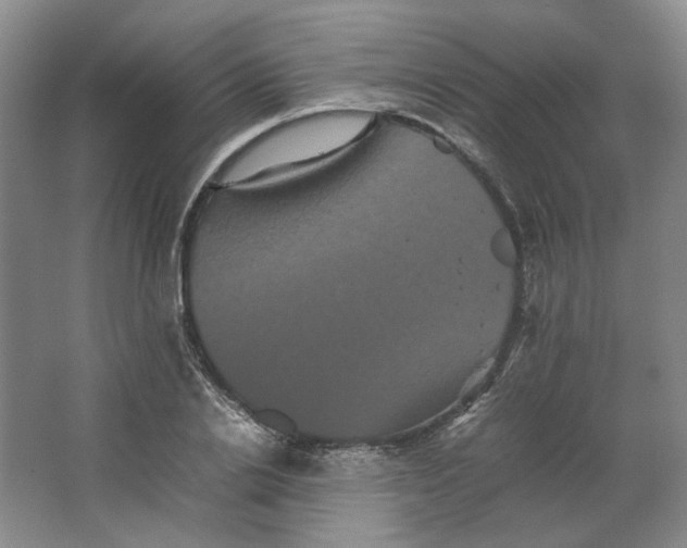 X0000063440838200602101620