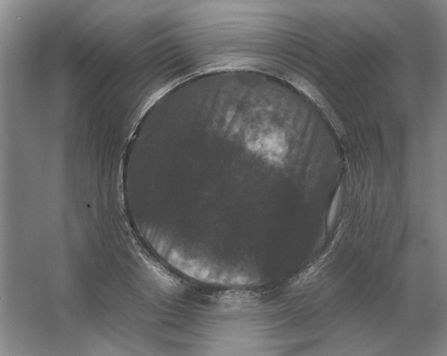 X0000063440842200602101620