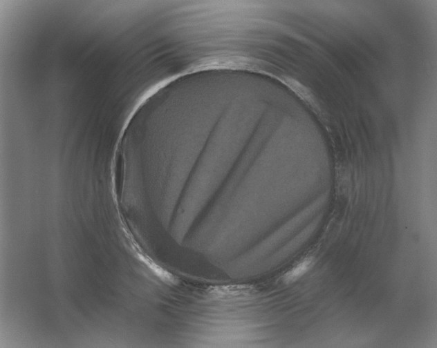 X0000063440846200602101620